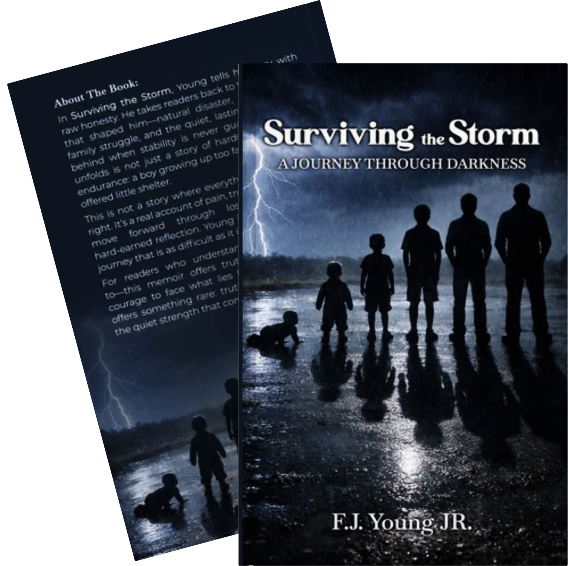 Surviving The Storm (Audiobook)
